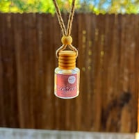 Image 2 of Hanging Diffuser 