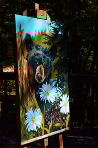 Image 3 of Curious Cub