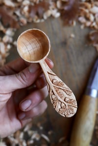 Image 3 of Oak Tree- Coffee Scoop