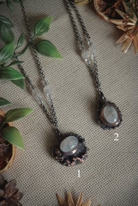 Real antler burr piece necklaces