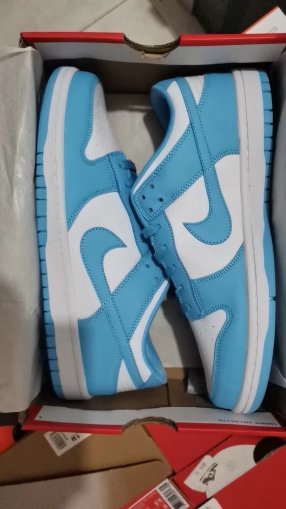 Image of Dunks baby blue 