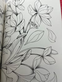 Image 6 of Japanese Flora Asia Edition