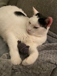 Image 3 of Snoop's Toys for Cats