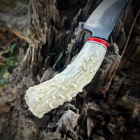 Image 3 of Skinner