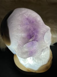Image 13 of Amethyst & Agate Skull Carving #2241