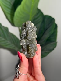 Image 1 of BOWTIE PREHNITE -INDIA- I
