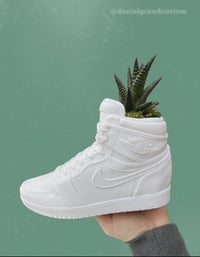 Image 1 of Premo Sneaker Planter