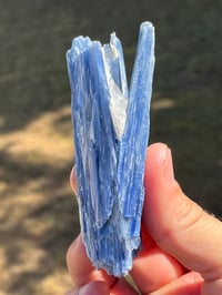 Image 7 of Blue Kyanite & Quartz Specimen #2421