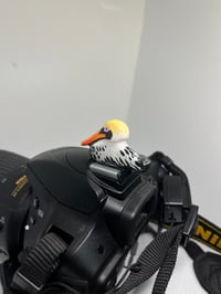 Image 2 of Brown Pelican Hotshoe Cover