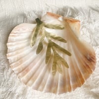 Image 3 of Pendentif Algue pour Pauline 