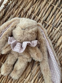 Image 2 of DOUDOU VICHY MINI