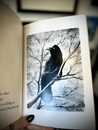 Image 2 of Raven Book