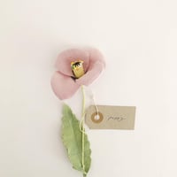 Image 5 of cocon flowers