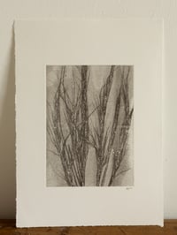 Image 1 of Grey Grass Ghost Original Monoprint A4