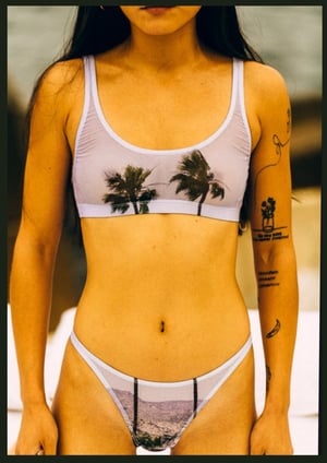 Palms 