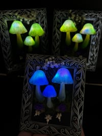 Image 1 of Small silver led mushroom frame