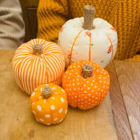 Image 2 of Fabric Pumpkins workshop. Thursday 2nd October. 6-9pm. Bibelot, Leek
