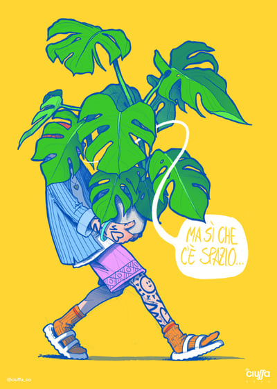 Image of MONSTERA