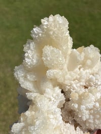 Image 5 of White Calcite Crystal Reef Formation Specimen #1240