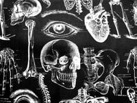 Image 14 of Orthopedics Scrub Hats