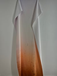 Image 1 of TOALLA ATERRADNO 