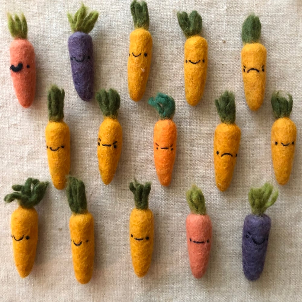 Image of moody carrot magnets