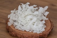 Image 1 of Preserved Hydrangeas - 5g White