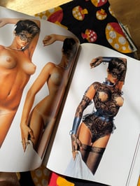 Image 8 of The Gynoids, Hajime Sorayama, 1993