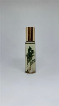 Image 2 of Paradise Plump lip & body oil roll-on                                                        