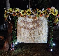 Image 3 of Arch rental for events