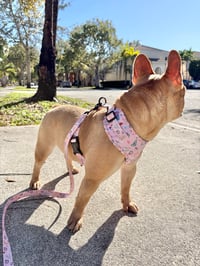 Image 4 of Pink Park Dream Pup Collection 