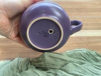 Image 4 of Sweet & Sour Peperomia in "Be Nice, The End" Mug