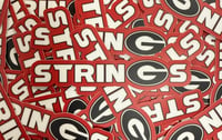 Georgia Strings Sticker