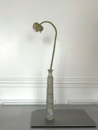 Image 4 of Nuageux 