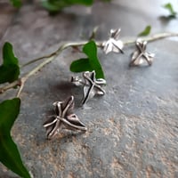 Image 2 of Woodland Ivy Studs