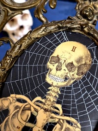 Image 2 of STATEMENT LARGE - ANTIQUE ANATOMICAL COLLECTION - Preserved web