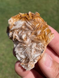 Image 13 of Vanadinite On Barite Specimen #1889