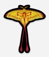 Fire Uterus Sticker 