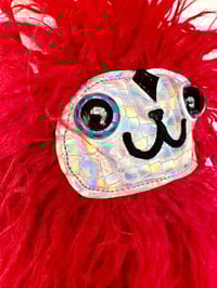 Image 2 of Cat with red wavy fur 