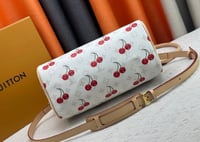 Image 2 of LV Bag 