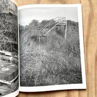 Image 6 of Martin Amis - This Land (Signed)