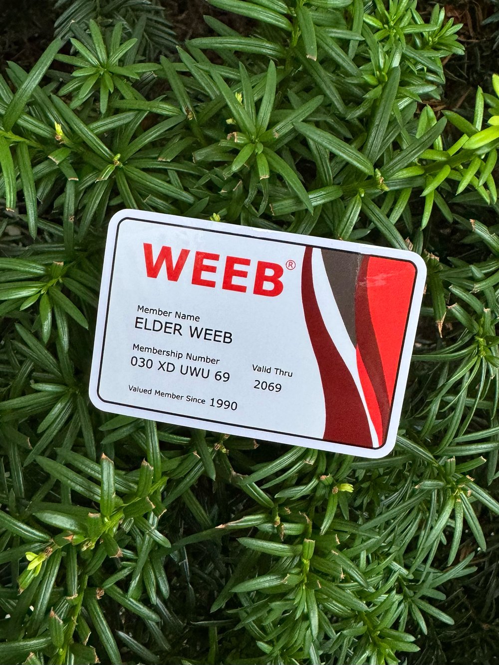 Image of AARWEEB Sticker
