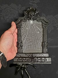 Image 2 of Gothic black ornate framed preserved web  1