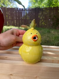 Image 1 of Coppertone Stonecrop in Yellow Chick