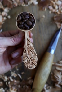 Image 10 of Oak Tree- Coffee Scoop