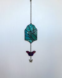 Image 4 of Tailed-Blue