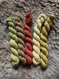 Image 2 of Mini Bundle #5 - 100G Hand Dyed Kent Romney Mini Skeins