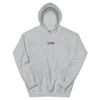 Image 3 of Bi Bator Pride Hoodie