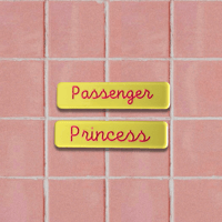 Image 1 of Passenger Princess hair clips