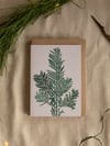 Botanical Christmas Card Pack  - Luxury Sustainable Nature Cards A6- Pack of 4/8.